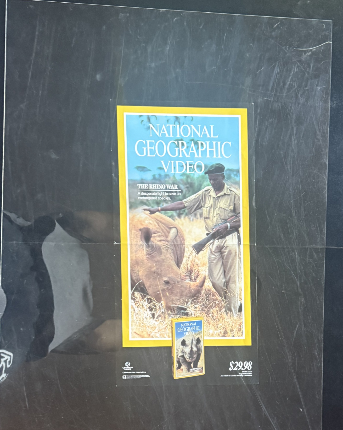 Actual National Geographic Video: The Rhino War - retail poster front photograph