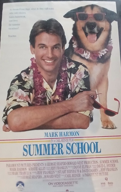 Actual Summer School — home-video promotional poster front photograph